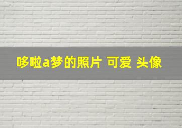 哆啦a梦的照片 可爱 头像